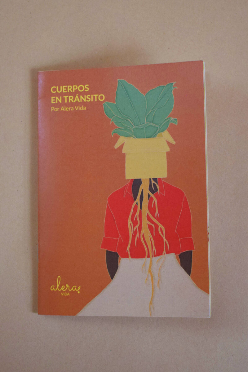 Cuerpos en tránsito
